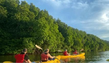 Miches: El Limón Lagoon Guided Kayak Tour with Guide