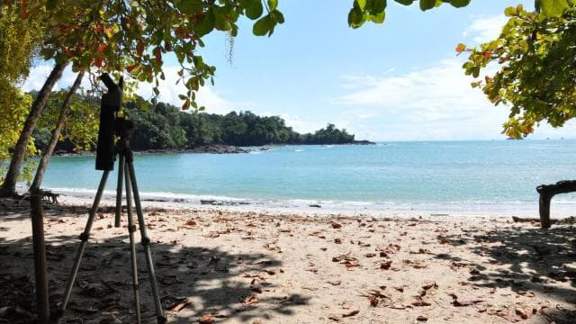From Jaco: Full-Day Manuel Antonio National Park Tour