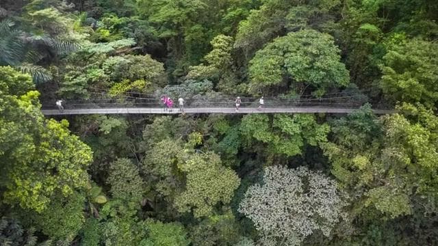 Arenal: Hanging Bridges, Waterfall, Volcano & Hot Springs