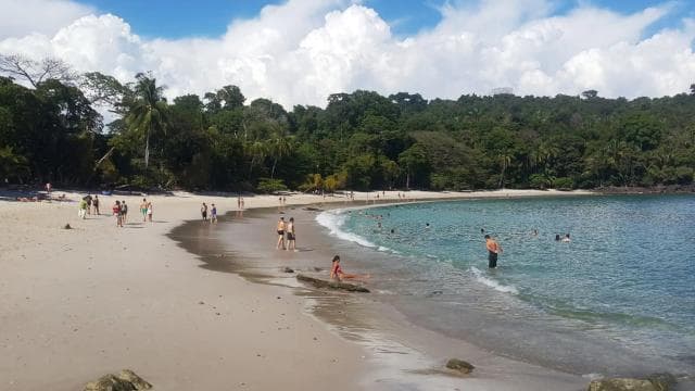 Manuel Antonio National Park Combo Tour from San Jose