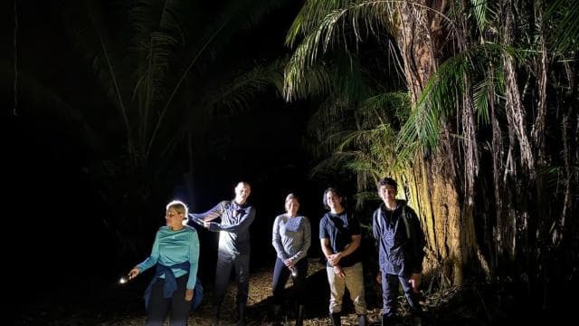 Puerto Jimenez: Nighttime Wildlife Hike with a Local Guide