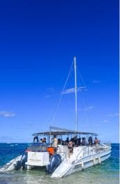 Punta Cana Bavaro: Private catamaran boat with snorkeling, open bar, and sailing