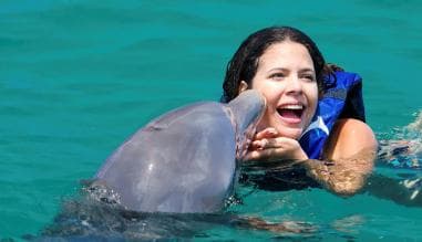 Punta Cana Dolphin Experience: 50 Minutes of Water Fun