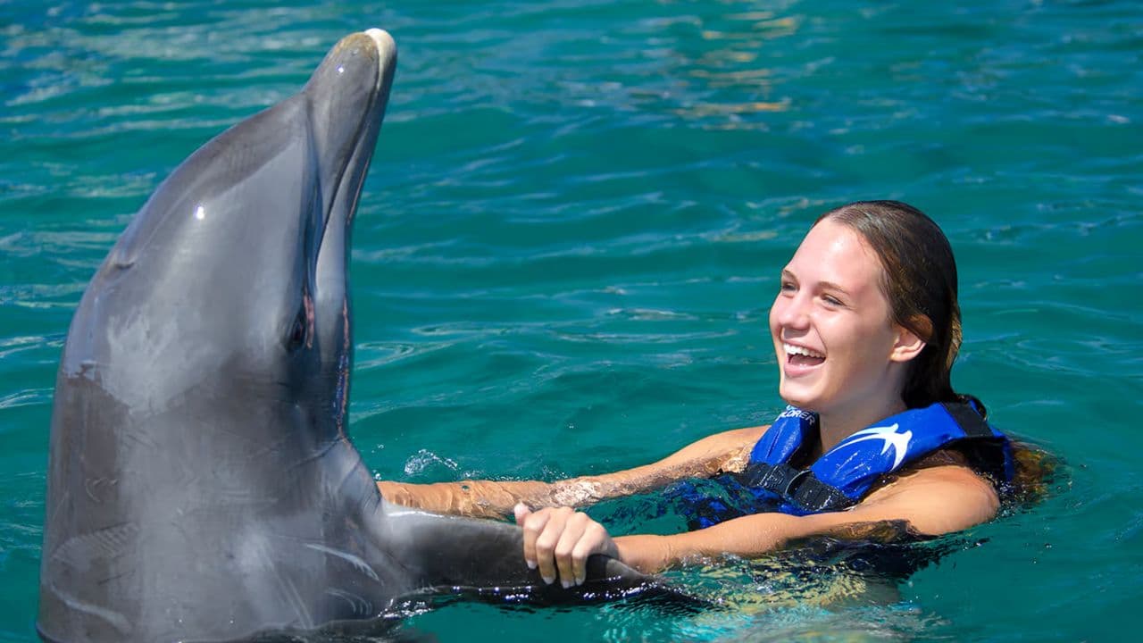 Dolphin Swim in Punta Cana – Best 60-min Dolphin Discovery