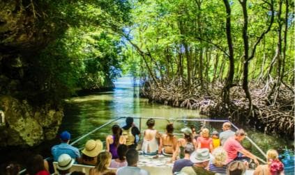 Samaná: City Tour + Los Haitises & Cayo Levantado Island
