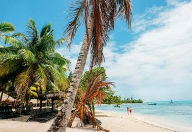 Private: Saona Island Full-Day Escape with Meals & Beverages