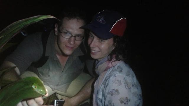 Tortuguero: Night Wildlife Spotting and Jungle Walk