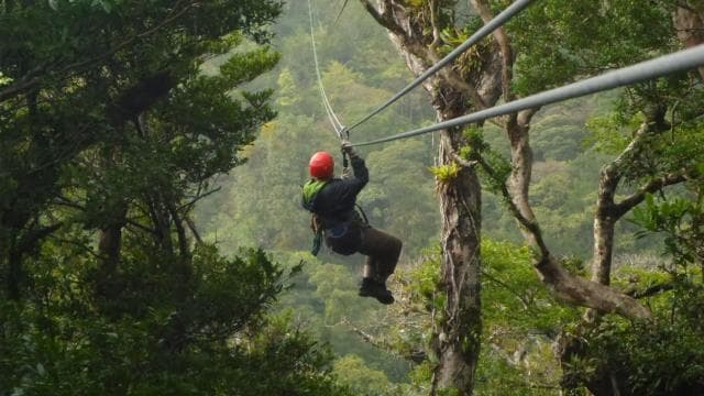 Monteverde: Monteverde Cloud Forest Canopy Adventure
