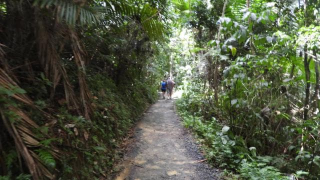 From San Juan: Rainforest Walk, Nature Swim & Luquillo Beach