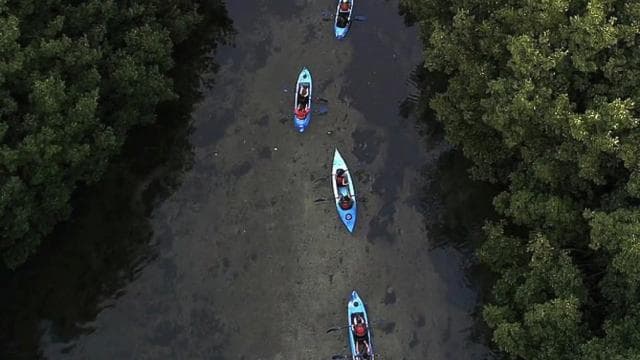 From San Juan: Bioluminescent Bay Kayak Adventure at Night