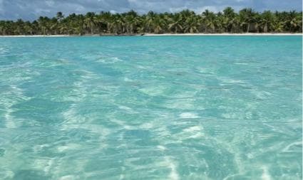 Juan Dolio: Saona Island Day Trip with Lunch & Open Bar
