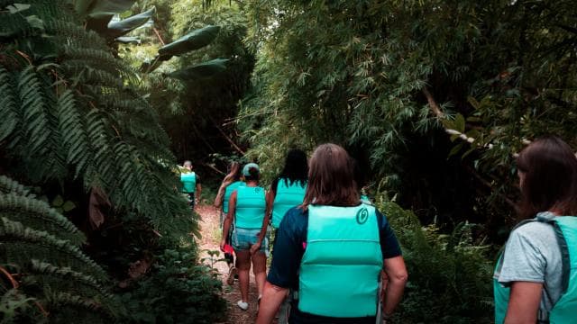 Luquillo: El Yunque Rainforest Hike and Waterslide Adventure
