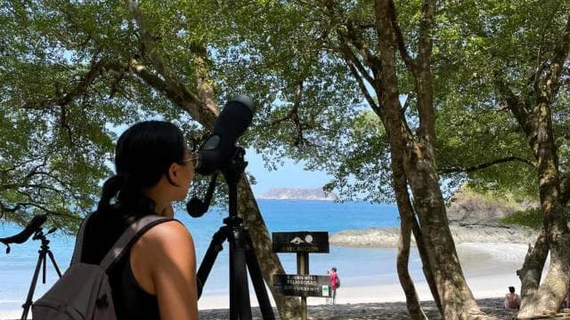 Manuel Antonio National Park: Animal watching hike