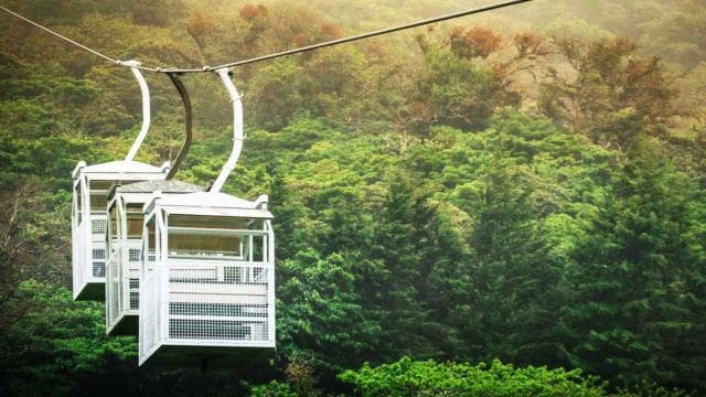 San Jose: Monteverde Sky Tram & Hanging Bridges Day Tour