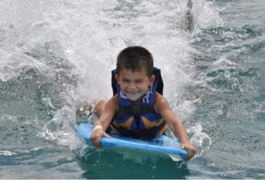 Punta Cana: Swim or Interact with Dolphins in the Sea