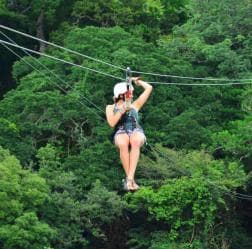 Private: Canopy Zip-Line Adventure in Punta Cana