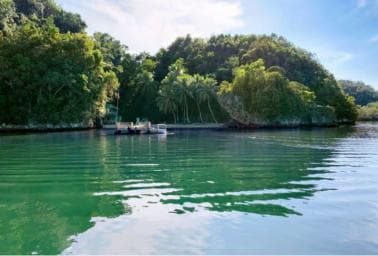 Samana: Los Haitises National Park & Caño Hondo Day Tour