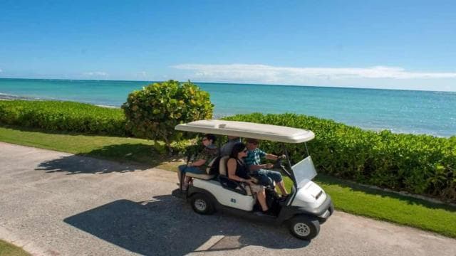 Punta Cana: Iguana Sanctuary, Sailing & BBQ Tour