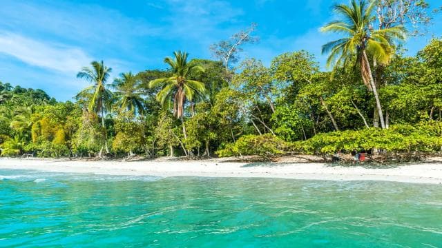 San Jose Costa Rica: Manuel Antonio National Park Tour