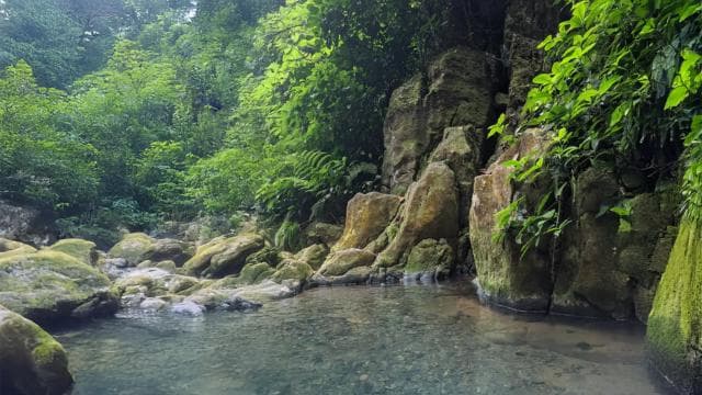Discover a Hidden Paradise & Learn about Plants.