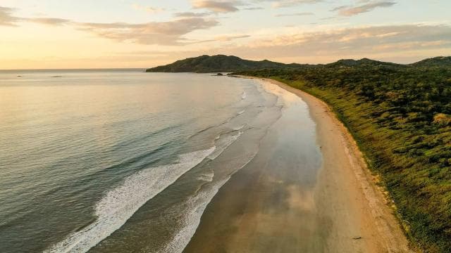 Uvita: Private Marino Ballena Boat Cruise Whales & Dolphins