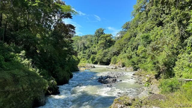 Pacuare River Rafting