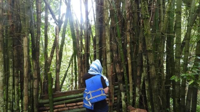 From San Juan: Rainforest Walk, Nature Swim & Luquillo Beach
