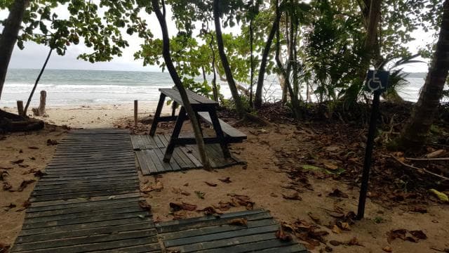 Puerto Limon: City Highlights and Cahuita National Park Tour