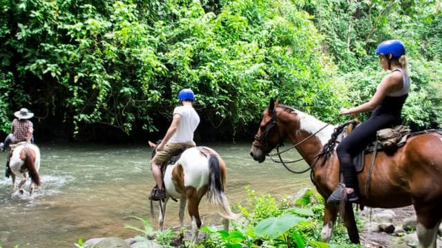 La Fortuna: Arenal River Horseback Riding