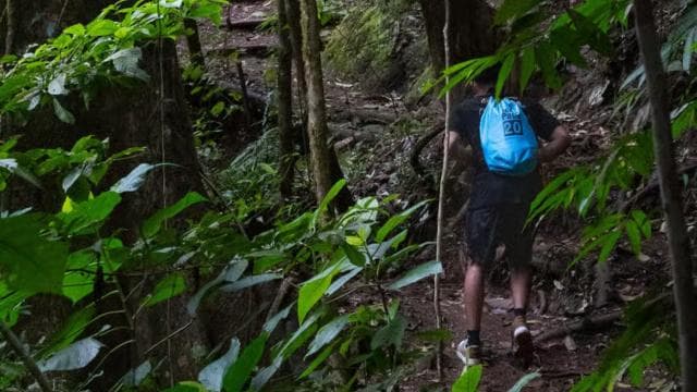 Jaco Beach: 10 Hidden Waterfalls Guided Experience