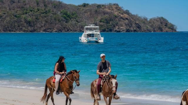 From Brasilito: 1-Hour Horseback Riding Beach Tour