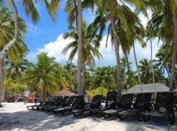 Juan Dolio: Saona Island Day Trip with Lunch & Open Bar