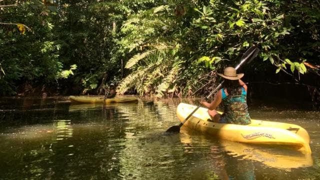CARIBBEAN EXPERIENCE - PUNTA UVA