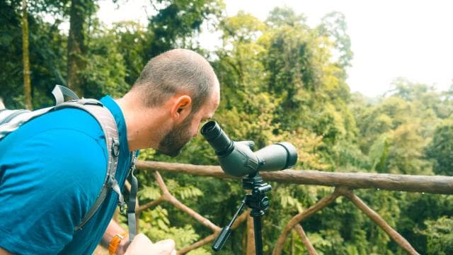 Arenal: Hanging Bridges Walking Tour
