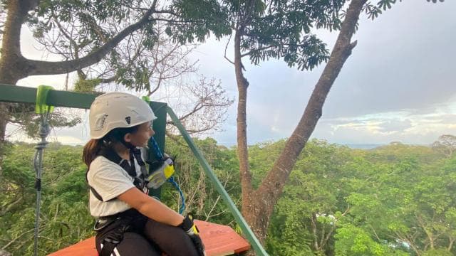 Puerto Viejo: Explore the giant ceibo tree with an accessible aerial circuit