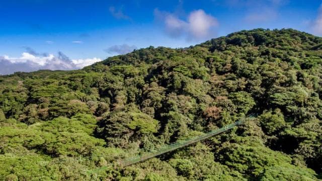 Monteverde: Zip Line, Bridges, and Butterfly Garden Tour