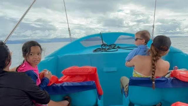 Puerto Jiménez: Dolphin Watching with a Snorkeling Stop