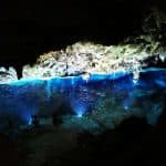 Bayahibe: National Park Jungle Walk & Snorkeling in Cenotes - Dominican Republic