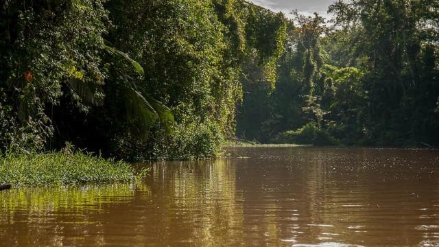 Tortuguero: Kayak adventure through the rainforest canals.