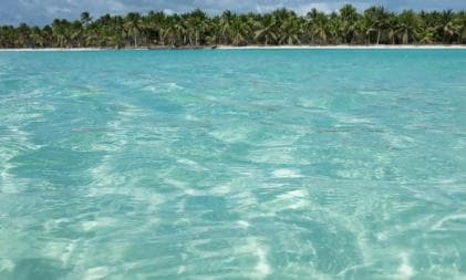 From Santo Domingo: Saona Island Catamaran and Speedboat