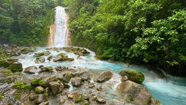 Quepos: White-Water Rafting on the Scenic Savegre River