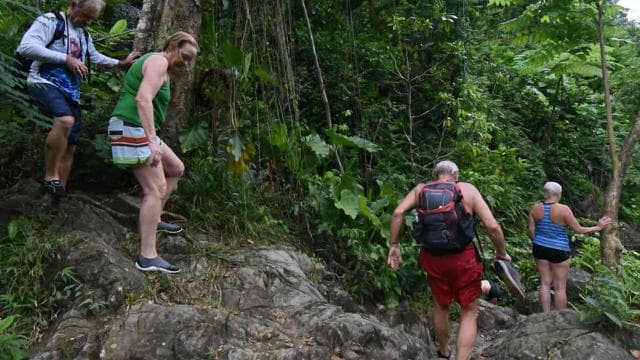 From San Juan: El Yunque Rainforest & Bio Bay Kayak Combo