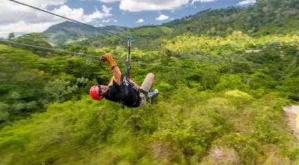 Rainforest Ziplining Adventure