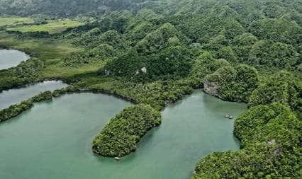 Miches: Los Haitises, Transfer, Walking & Boat tour
