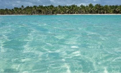 Saona Island: Tour with Lunch and Drinks