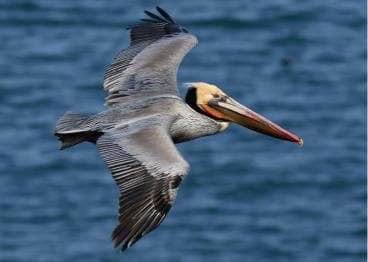 Boca Chica : Los Haitises Guided Hike and Kayaking