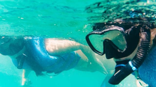 San Juan: Beginner Snorkeling Tour with Turtles and Videos - Dominican Republic