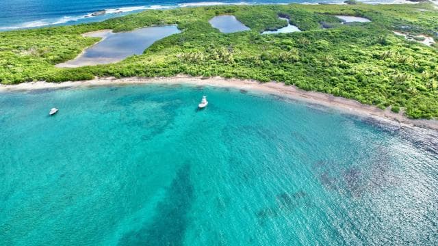 Icacos or Palomino: Luxury Yacht Tour. Snorkeling and Lunch