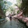 Damajagua: Waterfalls with Lunch Buffet