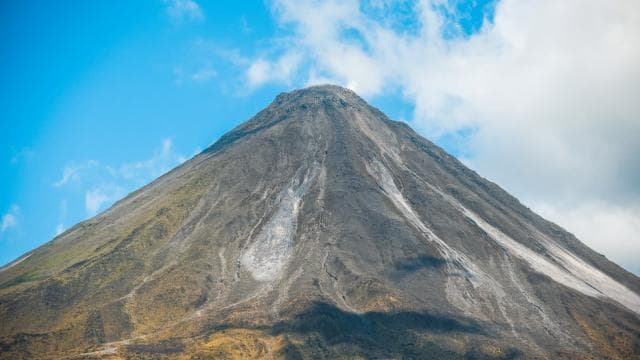 Arenal Volcano 3.5-Hour Rainforest Natural History Walk